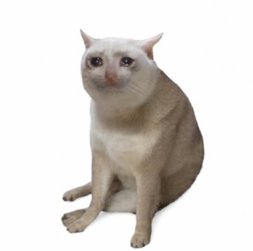 A cream-colored cat sitting against a white background with its eyes glowing.