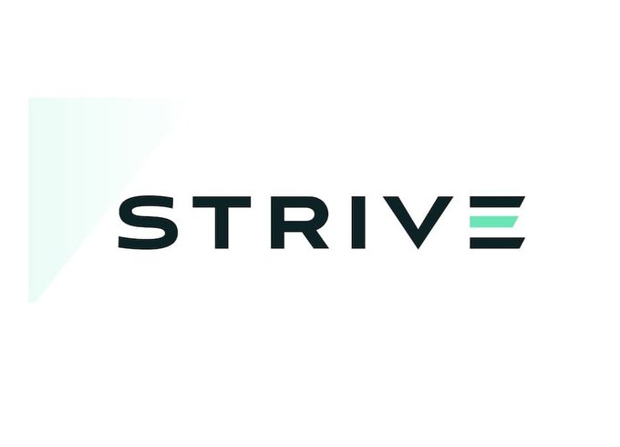 A logo for 'STRIVE' in dark navy text with a mint green accent on the 'E', accompanied by a light mint triangular graphic on a white background.