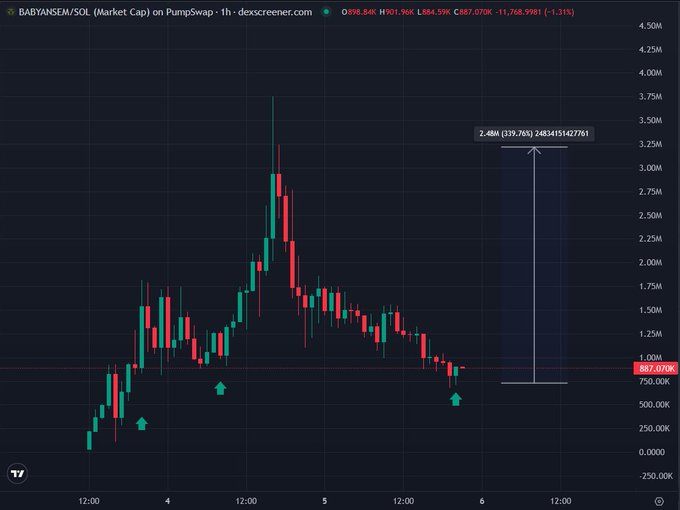 A 1-hour candlestick chart of $BABYANSEM/SOL on DexScreener shows the token's market cap peaking at approximately 3.7M before retracing to 887.07K (down 1.31%), with green arrows highlighting a potential support zone and an annotation marking a 2.48M (339.76%) upside target from current levels—visually reinforcing the post's claim of a "generational dip" following a 6X rally.