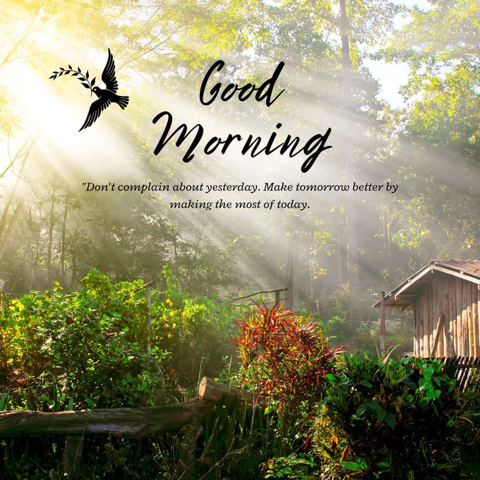 A 'Good Morning' greeting card featuring a sunlit forest scene with a wooden cabin, a flying bird illustration, and the inspirational quote: 'Don't complain about yesterday. Make tomorrow better by making the most of today.'