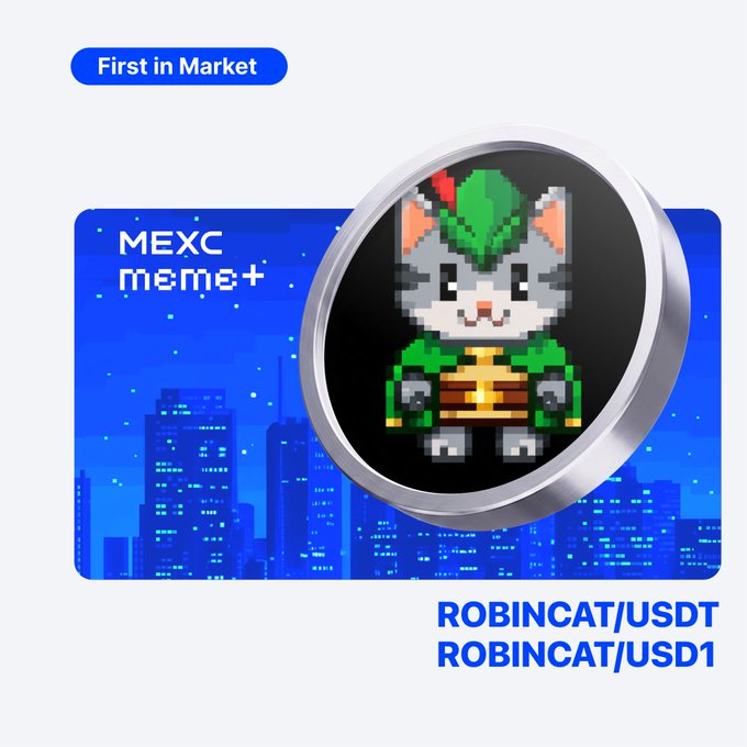 A pixel art gray cat dressed in green knight-like armor is featured inside a circular silver-bordered frame against a stylized blue nighttime cityscape, with a "First in Market" badge in the top left and the text "MEXC meme+", "ROBINCAT/USDT", and "ROBINCAT/USD1" displayed, announcing the cryptocurrency listing.