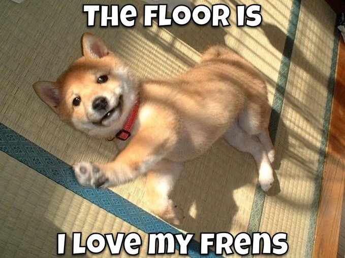 A classic 'doge' Shiba Inu meme photo with text reading 'THE FLOOR IS' at the top and 'I LOVE MY FRENS' at the bottom.