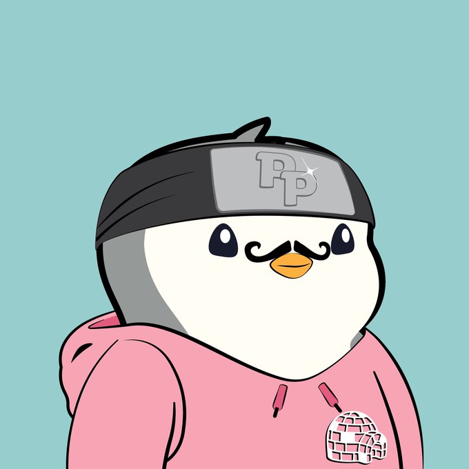An illustration of a cartoon penguin-like character wearing a gray headband with 'PP' logo and a pink hoodie.