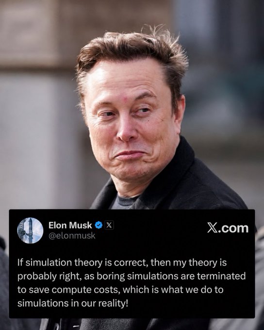 A photograph of Elon Musk appears above an X (formerly Twitter) post from his verified account @elonmusk, reading: "If simulation theory is correct, then my theory is probably right, as boring simulations are terminated to save compute costs, which is what we do to simulations in our reality!"