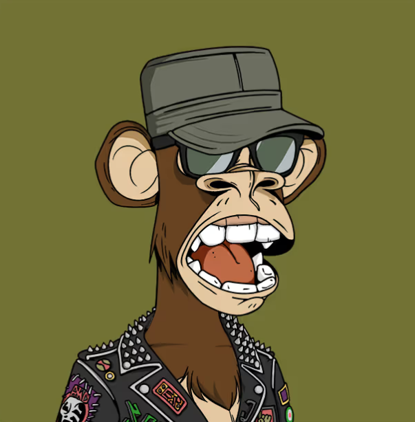 The image features a cartoon monkey wearing a leather jacket, sunglasses, and a hat with a bandana. The monkey appears to be wearing a biker jacket or motorcycle gear, giving off a rockstar vibe. The background of the image is green, which contrasts with the colorful attire of the monkey. There are no texts present in the image, but there is a caption that reads "This is the top NFT pfp collection on Eth None better." This suggests that this image might be part of an NFT collection or market where people can buy and sell digital artworks, including unique and eye-catching designs like the one depicted here.