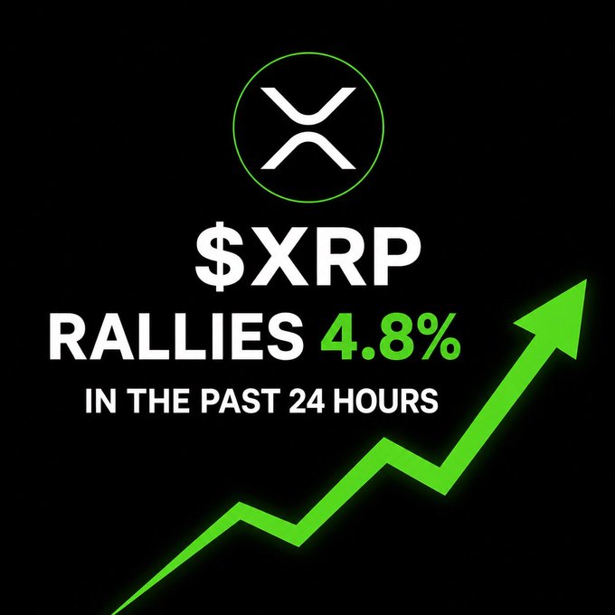 Graphic announcing that $XRP has rallied 4.8% in the past 24 hours, displayed with a green upward arrow and the XRP logo.