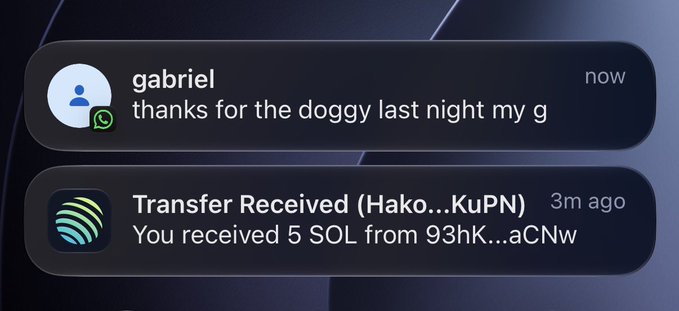 The image shows an iPhone notification from "gabriel" saying "thanks for the doggy last night my g" alongside a Transfer Received alert showing "5 SOL from 93hK...aCNw" 3 minutes ago.

The image relates to the post as a visual punchline—Gabriel thanked the sender for "the doggy" only after being paid 5 SOL, playing on the joke that people only want cryptocurrency rather than genuine companionship.