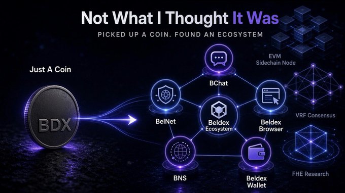 A digital advertisement for the Beldex Ecosystem, featuring the tagline 'Not What I Thought It Was' and 'Just A Coin BDX,' showcasing interconnected nodes including BChat, BelNet, Beldex Browser, Beldex Wallet, BNS, EVM Sidechain Node, VRF Consensus, and FHE Research.