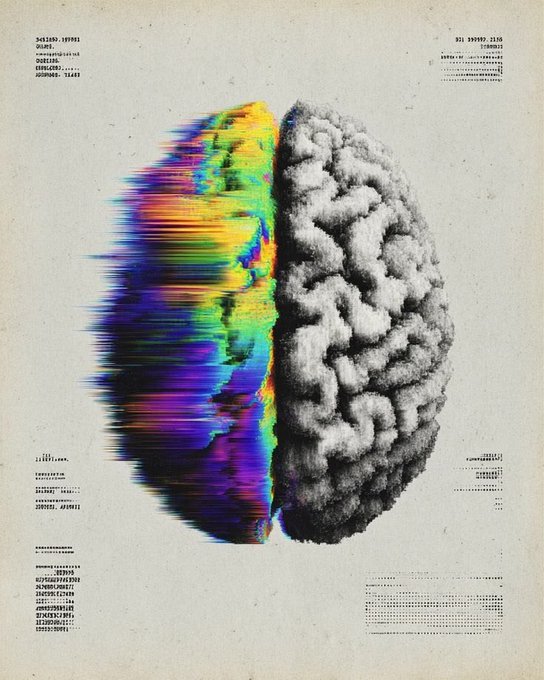 An artistic rendering of a brain split into two halves: one side is a colorful, glitch-effect rainbow pattern, and the other is a realistic grayscale depiction, set against a textured paper background with technical-style text.