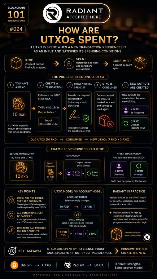 An infographic titled 'HOW ARE UTXOS SPENT?' for 'RADIANT ACCEPTED HERE' (Blockchain 101 Reference Card #024), detailing the process of spending UTXOs in transactions, comparing the UTXO model to the Account model, and explaining Bitcoin vs. Radiant.