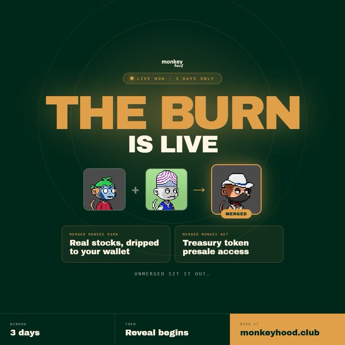 Promotional graphic for Monkeyhood's "The Burn Is Live" event with the tagline "Live Now - 3 Days Only," showing a merging process of two monkey NFTs and noting that merged monkeys earn real stocks and get treasury token presale access, with a 3-day window and reveal at monkeyhood.club.