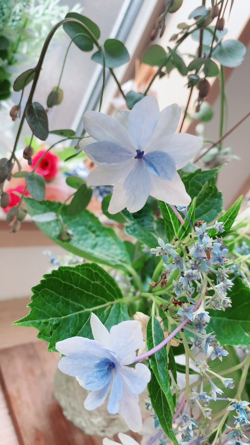 A close-up photograph of a flower arrangement featuring pale blue pinwheel flowers, small blue forget-me-nots, and round eucalyptus leaves.