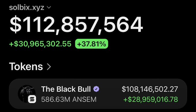 A portfolio dashboard for solbix.xyz showing a total balance of $112,857,564, up +$30,965,302.55 (+37.81%), with a top token 'The Black Bull' (ANSEM) valued at $108,146,502.27.