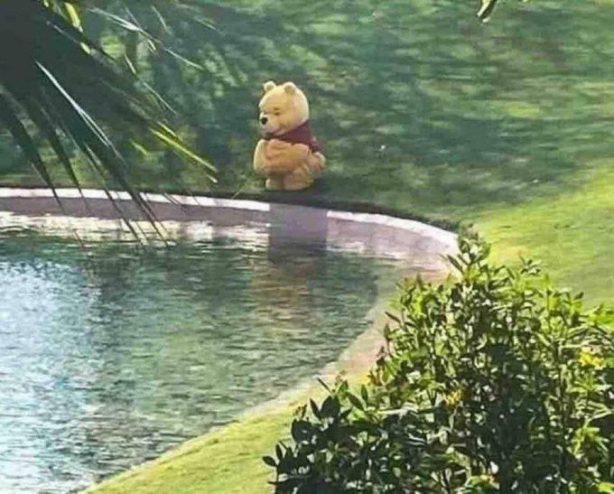 A plush Winnie the Pooh bear sits alone on the edge of a circular pool or pond surrounded by greenery, resembling the meme 'Dark Pooh'.