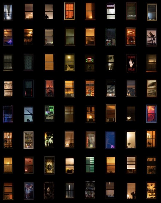 A grid of illuminated apartment windows at night against a dark background, with various scenes visible inside including people, cats, and holiday decorations.