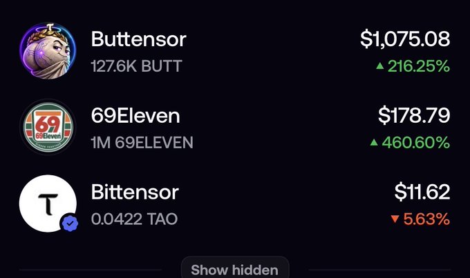 A cryptocurrency portfolio screenshot showing holdings in Buttensor ($1,075.08, +216.25%), 69Eleven ($178.79, +460.60%), and Bittensor ($11.62, -5.63%) with a 'Show hidden' button.