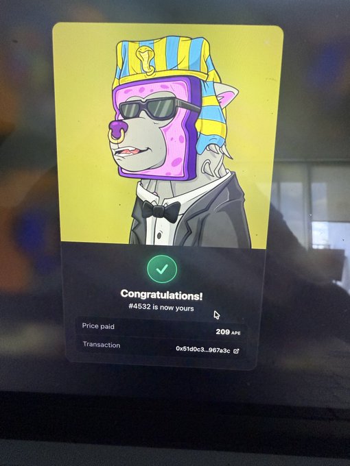 A screen displays a successful NFT purchase confirmation reading 'Congratulations! #4532 is now yours' for a cartoon character with sunglasses and a yellow/blue striped hat, paid 209 AP5 with transaction hash 0x51d0c3...067a3c.