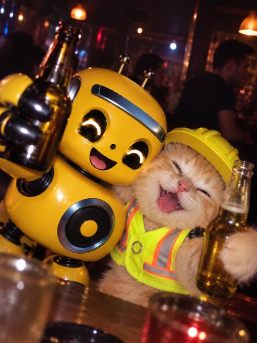 A fluffy orange cat wearing a yellow hard hat and safety vest laughs joyfully while posing with a smiling yellow "Bonk guy" robot toy and a beer bottle in a dimly lit bar, perfectly embodying the playful devotion of a true Bonk guy fan.