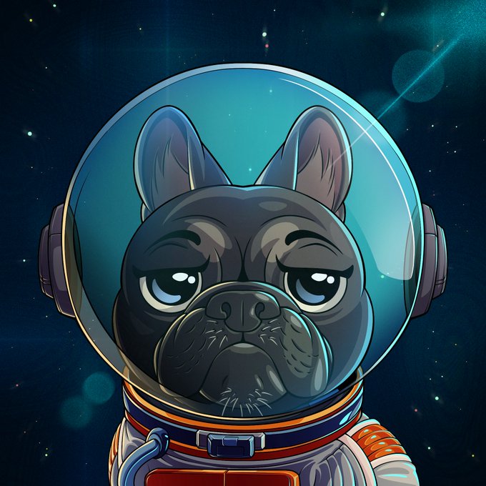 Digital illustration of a sad-looking French Bulldog wearing a transparent astronaut helmet and spacesuit, set against a starry space background.