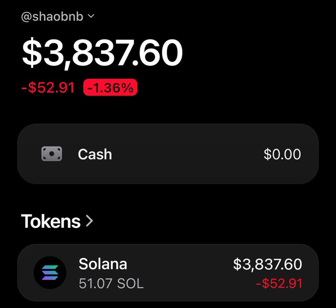 A crypto wallet interface displays a total balance of $3,837.60, down $52.91 (-1.36%), held entirely in Solana at 51.07 SOL, illustrating a Solana wallet's holdings.