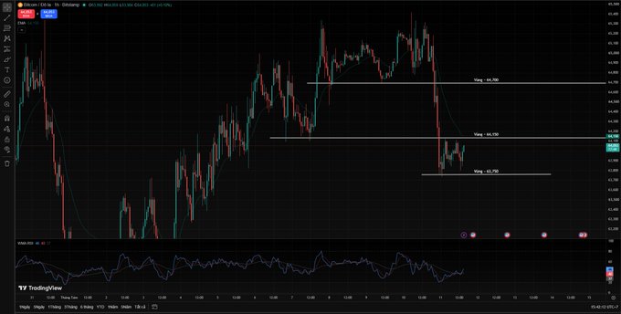A TradingView candlestick chart for oil (CLG25) showing price action with horizontal resistance/support lines and an RSI indicator below.