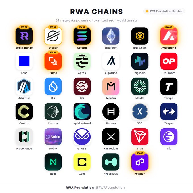 The image shows a list of various distributed RWA chains, including Bitcoin Cash, Ripple, Ethereum, Solana, Liquidity, Avalanche, Binance Coin, ZKSync, Aquafina, Hashing Oracle, and Avalanche Daojinsha. The post is titled "The current top 10 distributed RWA chains as it stands: @ethereum @BNBCHAIN @solana @StellarOrg @Liquid_BTC @avax @zksync @inkonchain @HyperliquidX @arbitrum Will this look the same in 1 years time?". The image is a collage of logos and icons representing different RWA chains, with each chain's name displayed below its respective icon.