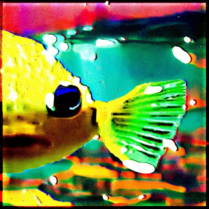 A highly stylized, psychedelic image of a yellow fish with green fins swimming in vibrant blue and turquoise water with bubbles.