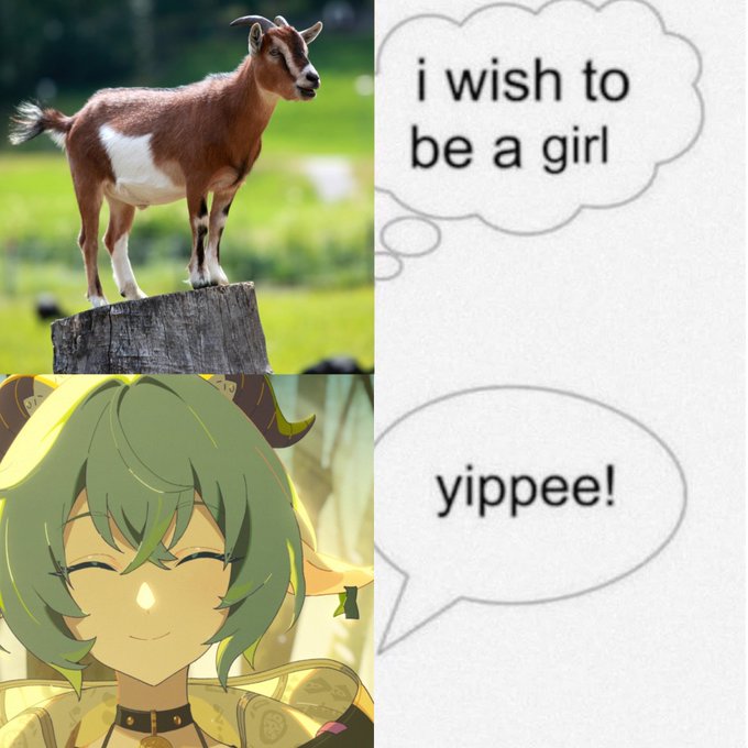 A meme showing a real goat standing on a tree stump with a thought bubble reading "i wish to be a girl," followed by an anime character with green hair and horns (resembling Sora from Cookie Run: Kingdom) happily responding "yippee!"