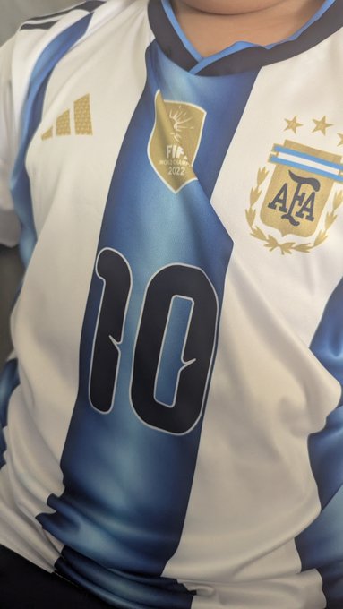 A close-up of an Argentina (AFA) national team jersey in their iconic white and sky blue stripes, displaying the FIFA World Cup 2022 champions patch and the number 10.