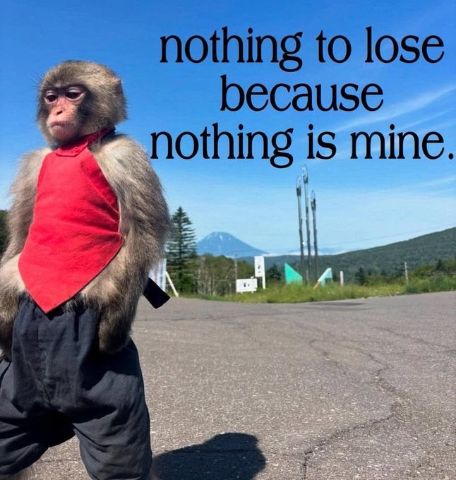 The image features a monkey standing on its hind legs, wearing a red shirt with a bandana around its neck. The monkey appears to be posing for a photo or video, possibly as part of an advertisement. In the background, there are mountains visible in the distance, adding to the overall scene. The text "nothing to lose because nothing is mine" can also be seen in the image, which might be related to the monkey's situation or the context of the post.
