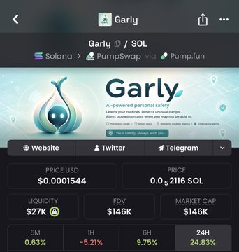 The image shows a DexScreener trading page for the $Garly (GARLY) token on Solana, priced at $0.0001544 (0.002116 SOL) with $276K liquidity, a $146K FDV, and a $146K market cap. It visually supplements the post by displaying the token's current market metrics while the caption highlights impressive user engagement and conversion funnel data from the project's analytics.