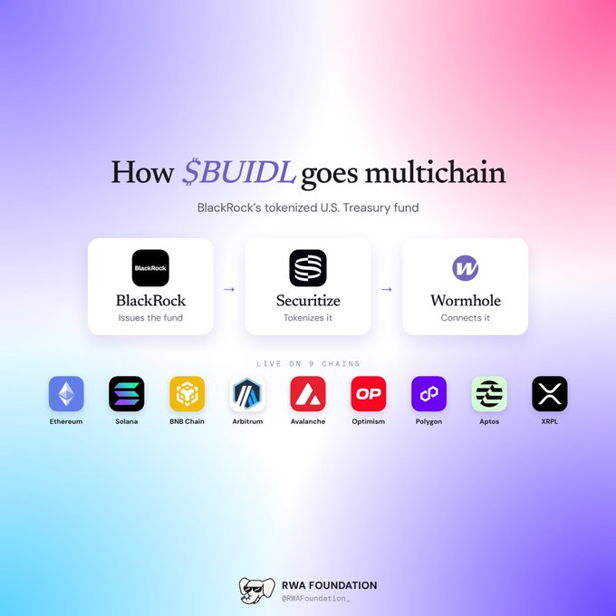 An infographic titled 'How $BUILD goes multichain' explains BlackRock's tokenized U.S. Treasury fund process: 'BlackRock Issues the fund', 'Securitize Tokenizes it', and 'Wormhole Connects it'. Below, it indicates the token is 'LIVE ON 9 CHAINS' with logos for Ethereum, Solana, BNB Chain, Arbitrum, Avalanche, Optimism, Polygon, Aptos, and XRPL, branded with the 'RWA FOUNDATION @RWAFoundation_' logo.