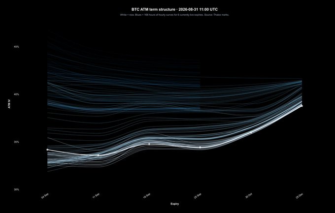 Dark financial chart titled 'BTC ATM term structure - 2026-08-31 11:00 UTC' displaying curves in blue and white plotting ATM IV (%) against Expiry dates.