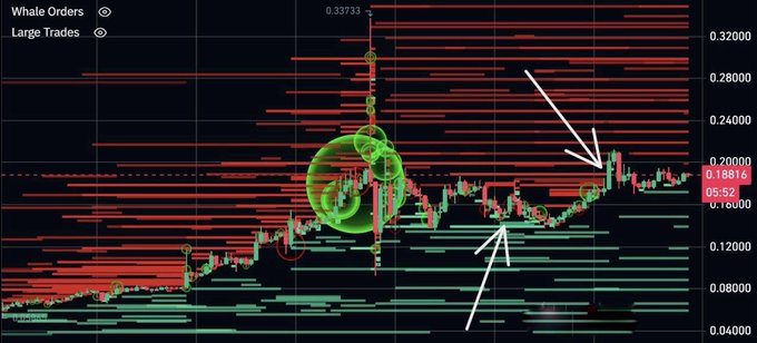 A financial trading chart displaying red and green candlestick patterns, horizontal lines indicating whale orders and large trades, and a large green highlight bubble with white arrows pointing to specific price levels.