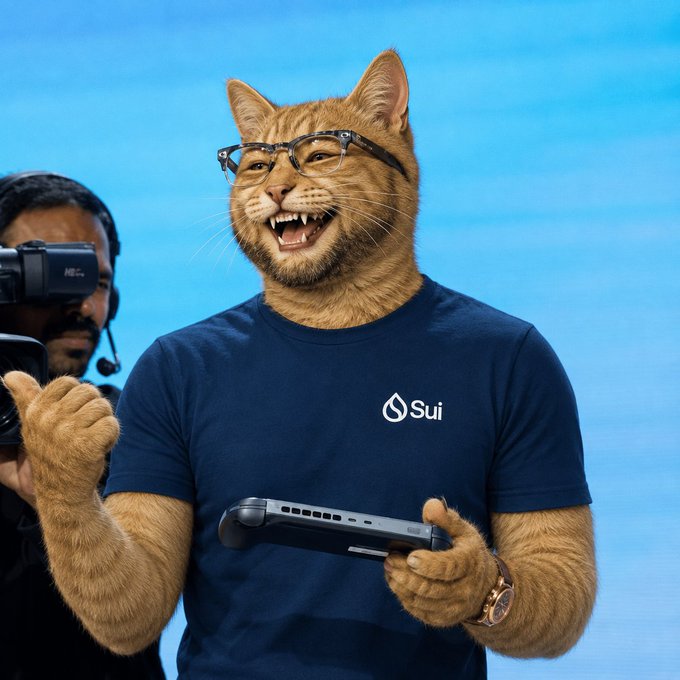 A person with a cat face filter wears glasses and a navy blue "Sui" t-shirt, holding a handheld gaming device while a cameraperson films them against a blue backdrop. The image appears to be promotional content for SuiPlay, teasing a gaming-related announcement that ties into the "Dex Paid" caption.