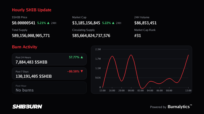 A dashboard interface titled 'Hourly SHIB Update' displays crypto statistics, showing a price of $0.00000541, a market cap of $3,185,156,845, and a 'Burn Activity' graph with a red line.