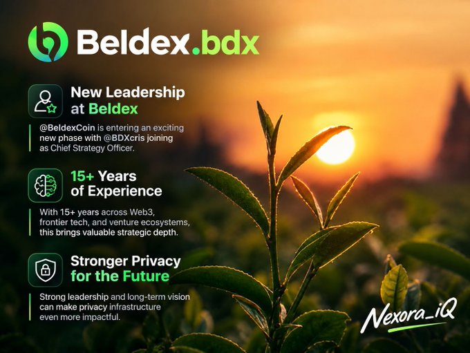 A promotional graphic for 'Beldex.bdx' featuring a sunset background over a green tea field. The text highlights 'New Leadership at Beldex' with @BDXcris joining as Chief Strategy Officer, '15+ Years of Experience', and 'Stronger Privacy for the Future'. It is credited to 'Nexora_iQ'.