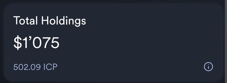 The image shows a digital wallet interface displaying "Total Holdings" of $1,075, which equals 502.09 ICP (Internet Computer tokens). This visually supports the poster's excitement about their Network Nervous System (NNS) staking rewards helping them surpass their financial goal.