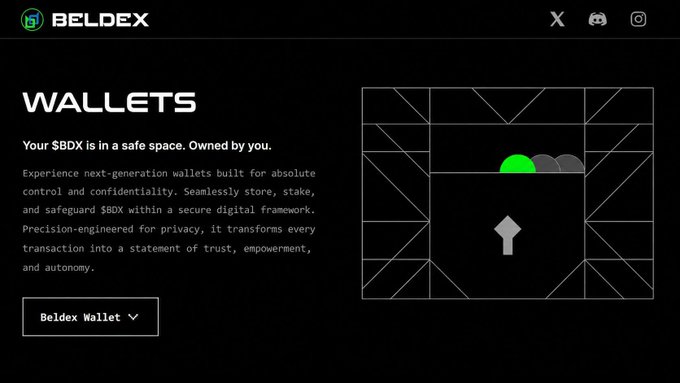 A screenshot of the Beldex website featuring a 'WALLETS' section, with text describing next-generation wallets built for control and confidentiality of $BDX, alongside a stylized wallet graphic.