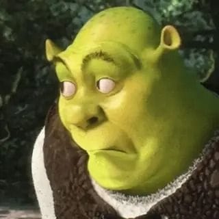 A close-up image of Shrek with a derpy, wide-eyed expression, looking off to the side.