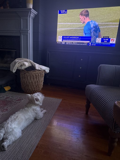 A small white dog lounges on a rug in a cozy living room, watching a soccer broadcast on TV showing "ELLIOT ANDERSON" and a score of "Everton 0 - 0 Brighton 14:46", capturing a relaxed morning vibe.