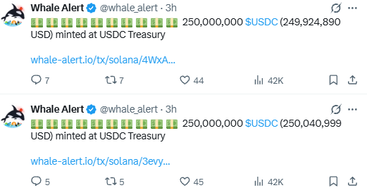The image shows two Whale Alert tweets reporting USDC Treasury minting transactions on the Solana blockchain, with 250,000,000 $USDC (~$249,924,890) and 250,000,000 $USDC (~$250,040,999) newly minted. This aligns with the accompanying post highlighting approximately $500K in fresh $USDC minting as liquidity being injected into the market for bottom-catching opportunities.