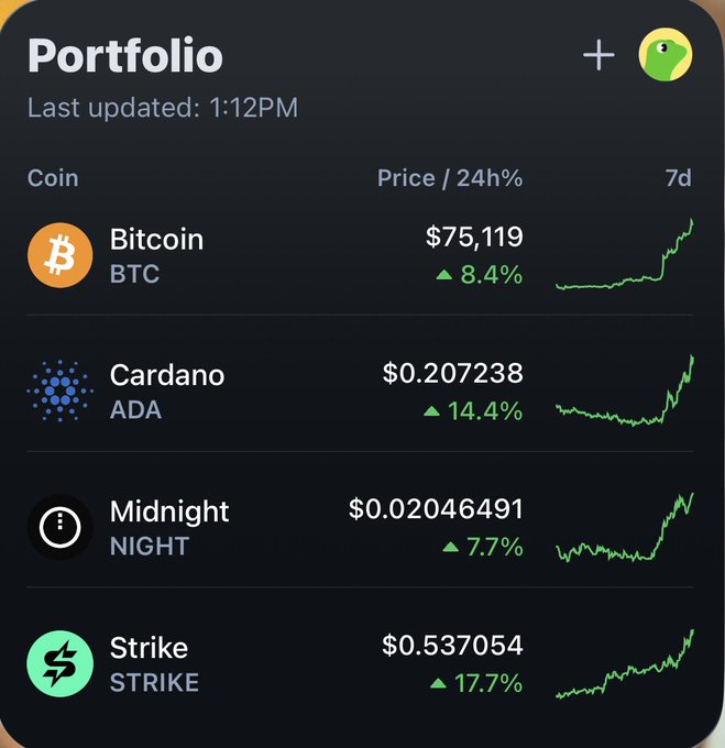 A dark-themed cryptocurrency portfolio tracker showing four assets—Bitcoin ($75,119, +8.4%), Cardano ($0.207, +14.4%), Midnight ($0.0205, +7.7%), and Strike ($0.537, +17.7%)—all displaying green 24-hour gains on 7-day charts. The image supports the post's observation by visually confirming that STRIKE's 17.7% gain is outperforming ADA's 14.4% rise.