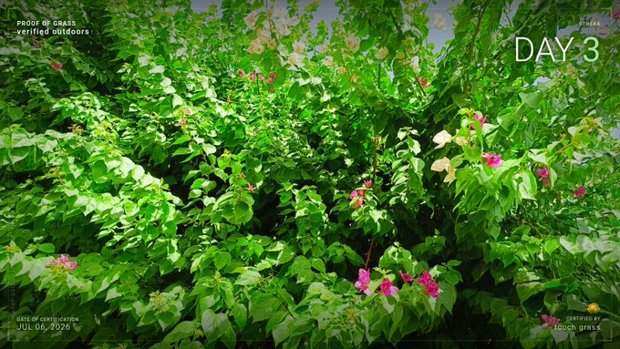 A lush green bush with pink flowers labeled 'DAY 3' with text 'PROOF OF GRASS verified outdoors' and certification dated 'JUL 06, 2026' certified by 'touch grass'.