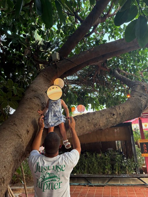 A man wearing a 'Just use Jupiter' t-shirt lifting a child (face covered by emoji) up toward a large tree branch.