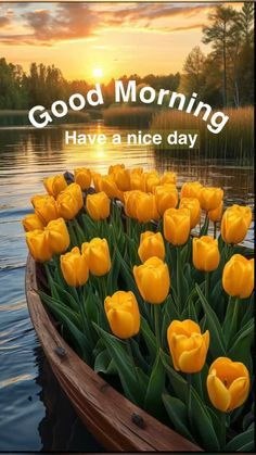A vertical 'Good Morning' greeting card featuring a wooden boat overflowing with bright yellow tulips floating on a lake at sunrise, with the text 'Have a nice day'.
