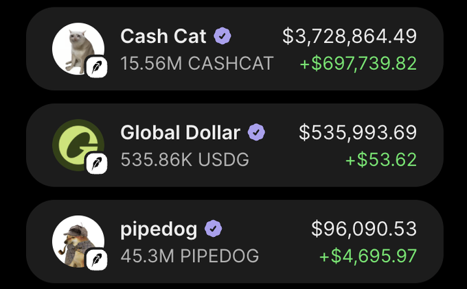 A crypto portfolio display shows holdings in Cash Cat ($3,728,864.49, up $697,739.82), Global Dollar ($535,993.69, up $53.62), and pipedog ($96,090.53, up $4,695.97), with Cash Cat's substantial gain supporting the poster's claim of nearly $5.5M in net profits and their bullish conviction toward a $1B valuation.