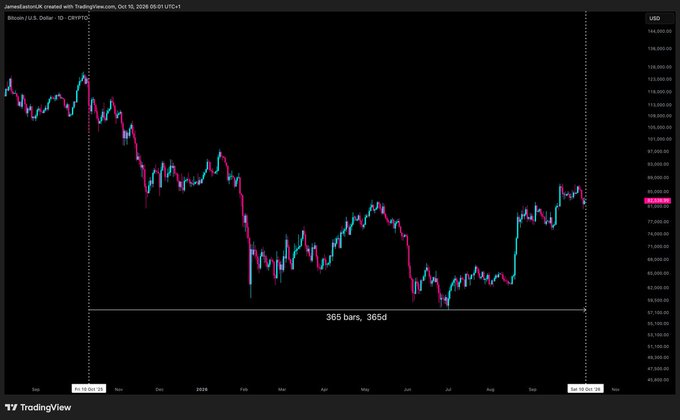 A TradingView daily candlestick chart of Bitcoin (BTC/USD) spanning roughly a year from October 2023 to October 2024 is displayed, with a horizontal marker labeled "365 bars, 365d" aligning October 10 — the date marking the chart's right edge as referenced in the post about the historic crypto liquidation event.