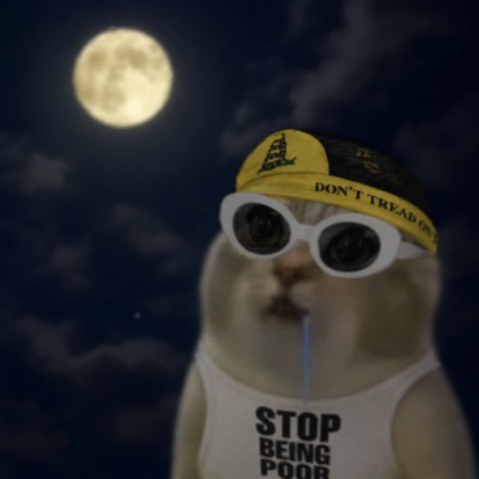 A humorous meme image showing a cat wearing white round sunglasses, a 'Don't Tread On Me' yellow and black cap, and a white tank top reading 'STOP BEING POOR', set against a night sky with a full moon.