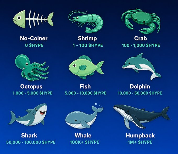 The image features a collection of eight sea creatures including an octopus, five fish such as shrimp, a crab, and two dolphins depicted against a blue background. The caption at the bottom of the image states "Just bought an Octopus' worth via $HYPG, the $HYPE ETP with the lowest gross management fee in the U.S."